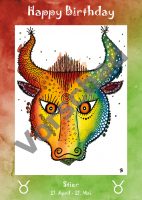 - Vorderseite Stier -